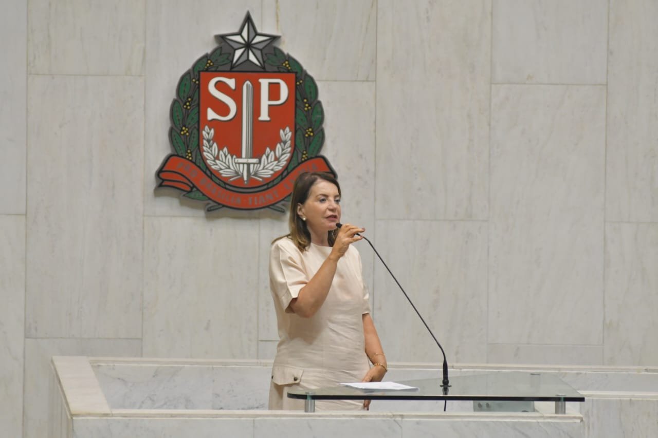 05-10-23-A deputada Professora Bebel lamentou o mecanismo que o governador Tarsício de Freitas utilizou para conceder a anistia aos infratores