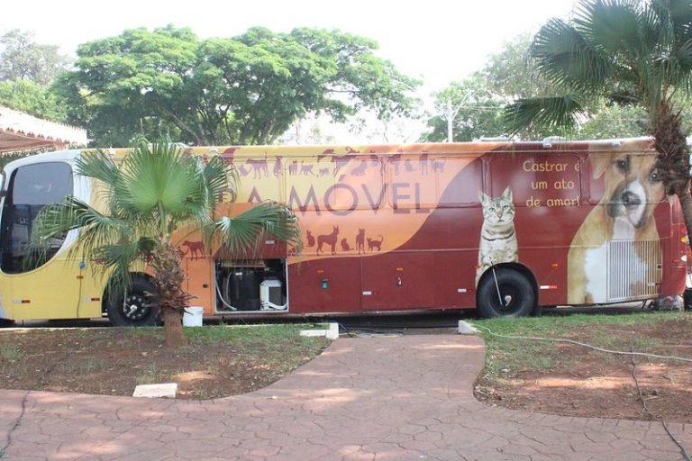 53231815109_9b34ac0746_c