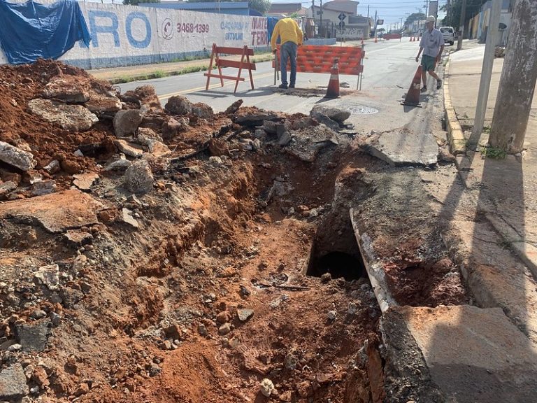 53262192947_0edb57743d_c