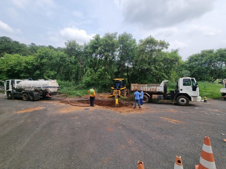 53290797380_5776cc0f3f_c