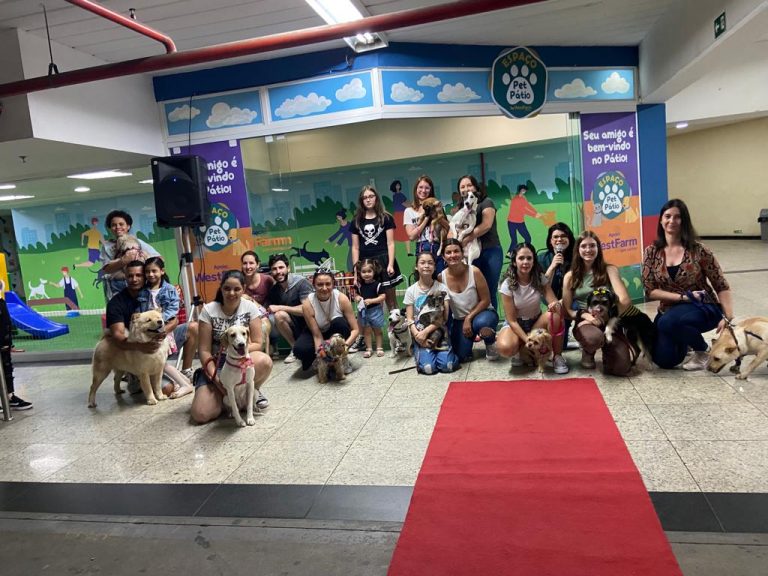 Encontro de Doguinhos