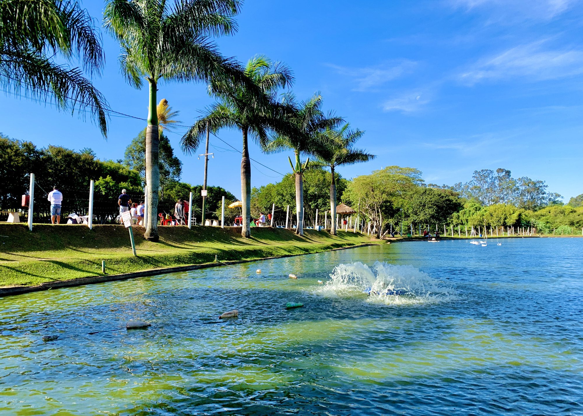 Pesqueiro Santa Clara (4)