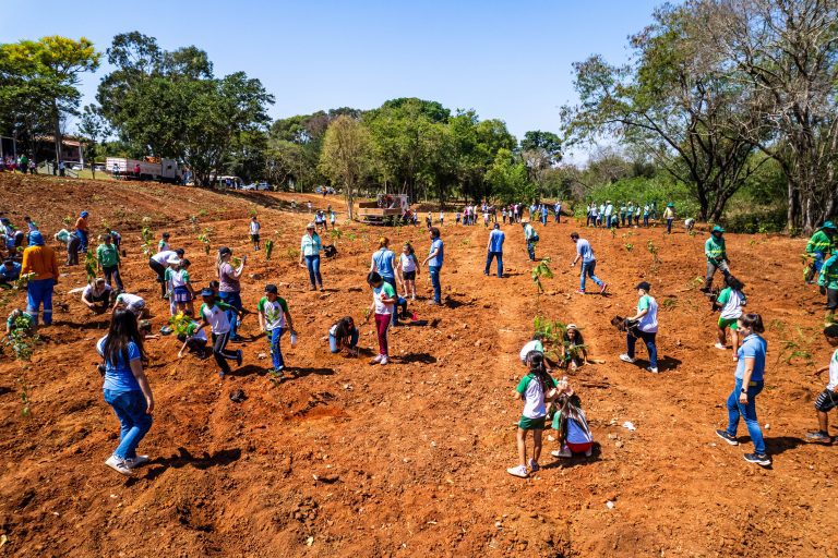 Plantio dia da Arvore 14 - imprensa