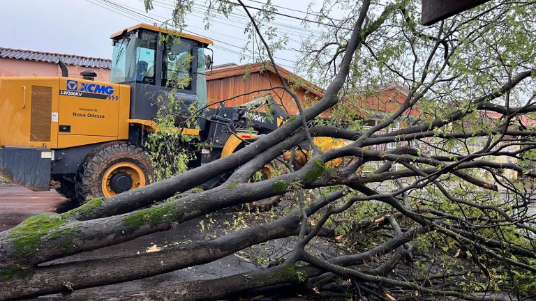 São Jorge WhatsApp Image 2023-10-12 at 17.16.40