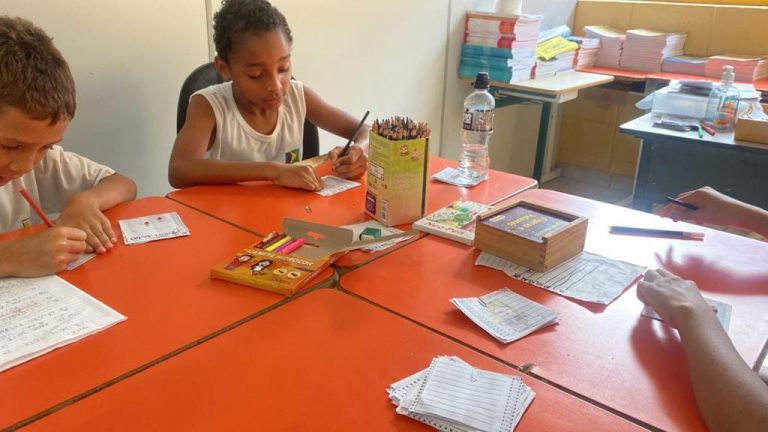 apoio pedagógico (3)