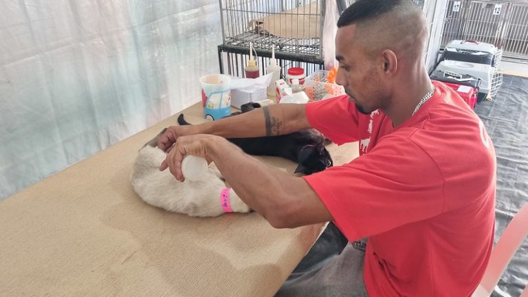 53317358707_595e7efd67_c