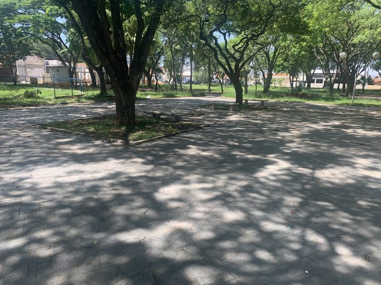 53318172871_c6ab248917_c