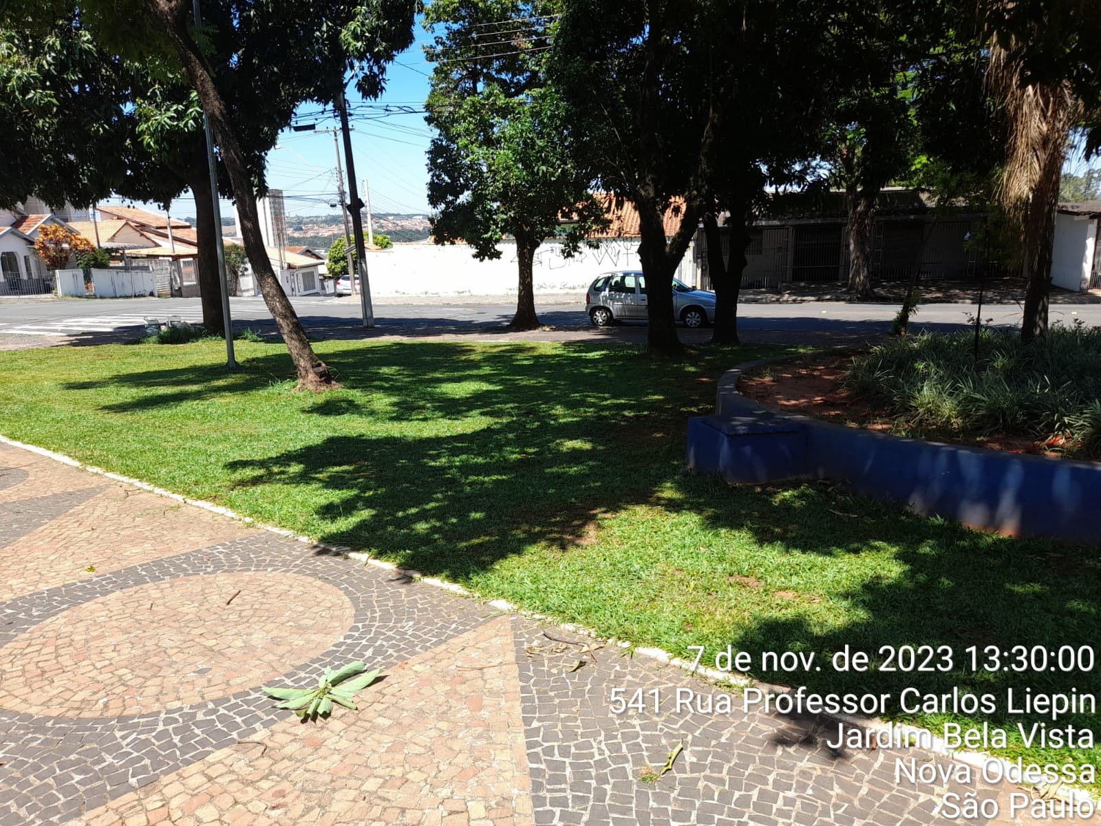 Corte de mato alto das Calçadas do Bela Vista 2023-11-07 (6)