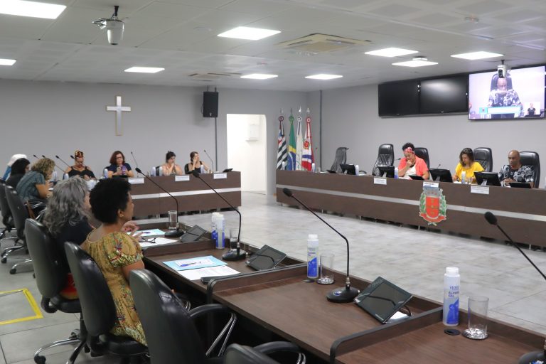 231205AudiênciaPúblicaRacismo