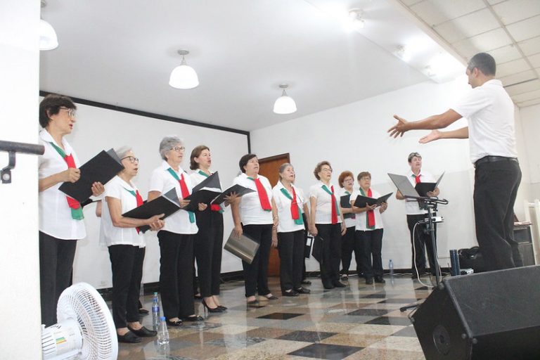 53405126932_50d5d5846b_c