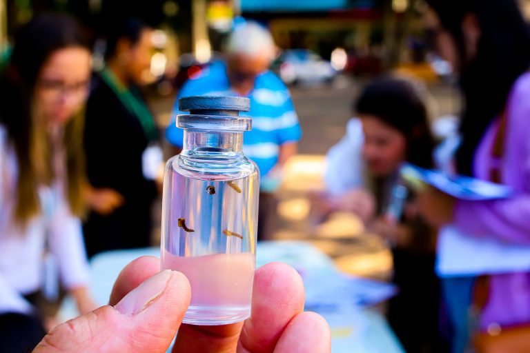 dia d de combate a dengue 07 imprensa