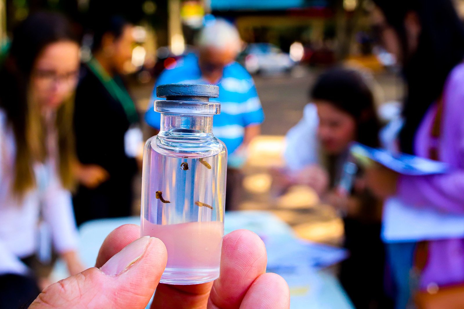 dia d de combate a dengue 07 imprensa