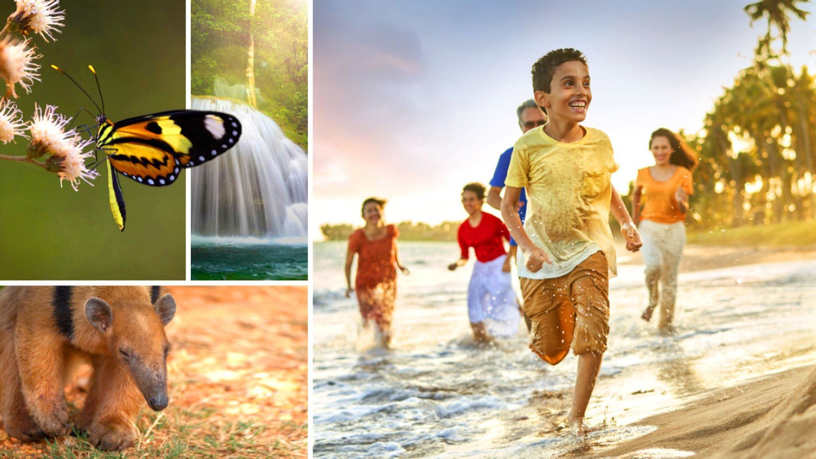 Milhares de voluntários se oferecem para responder: Será que a Terra vai sobreviver? 1 jeová