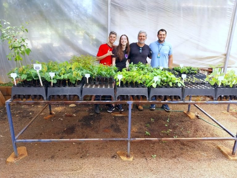 mudas Emílio Romi (2)