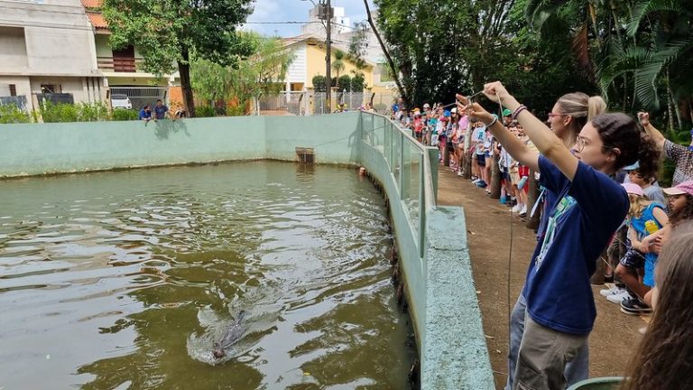 53458201457_e136e7b8ae_c