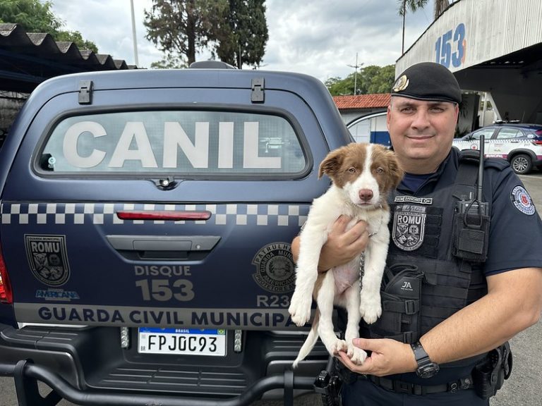 53486960586_8f900d4ec9_c