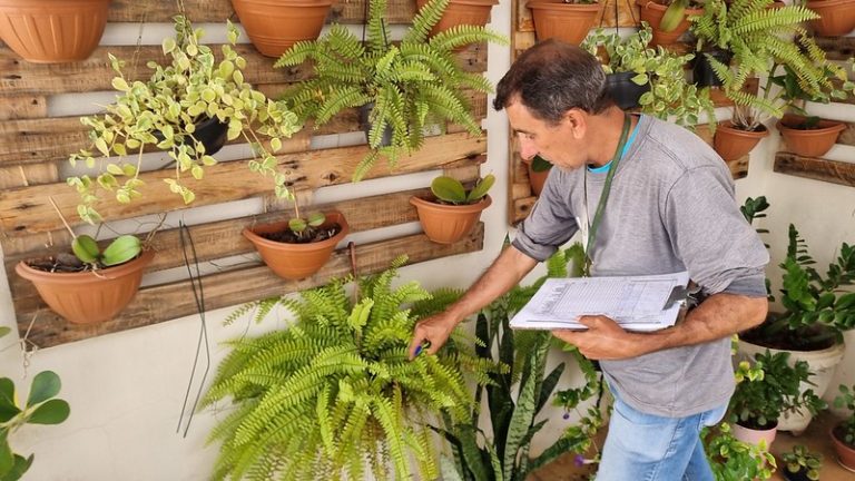 53533295913_f6774500c3_c