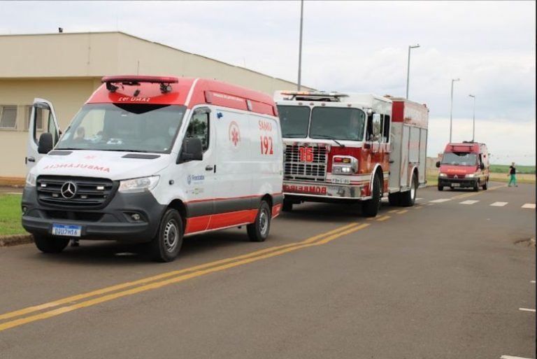 WhatsApp Image 2024-02-05 at 16.27.31