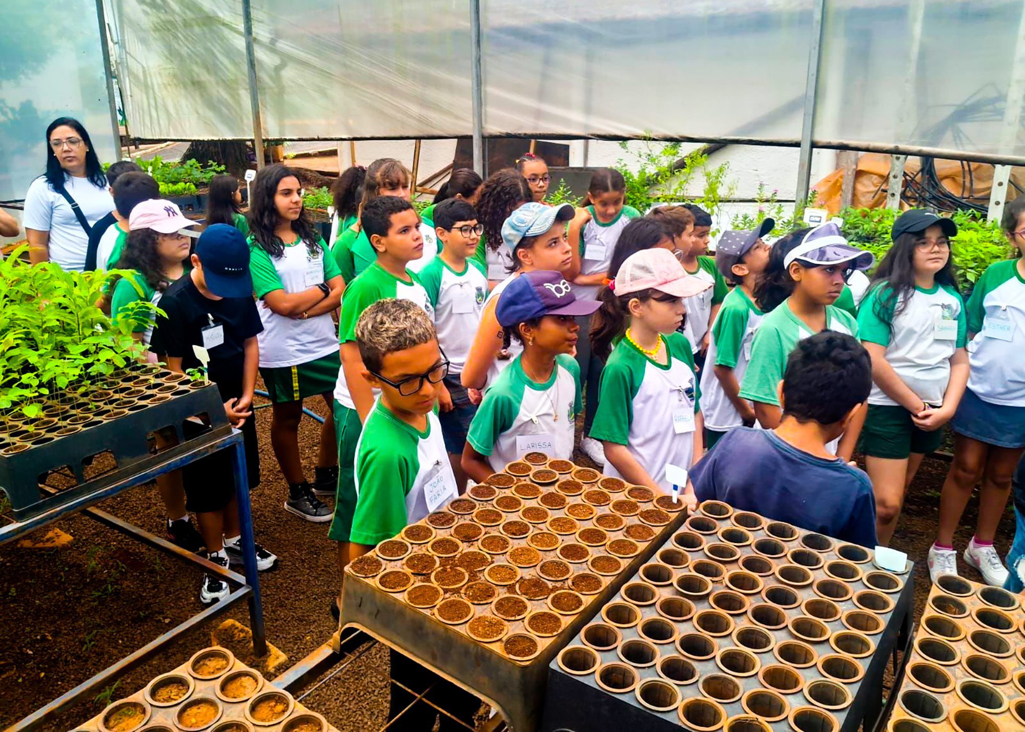 cesb agenda 2024 04 imprensa