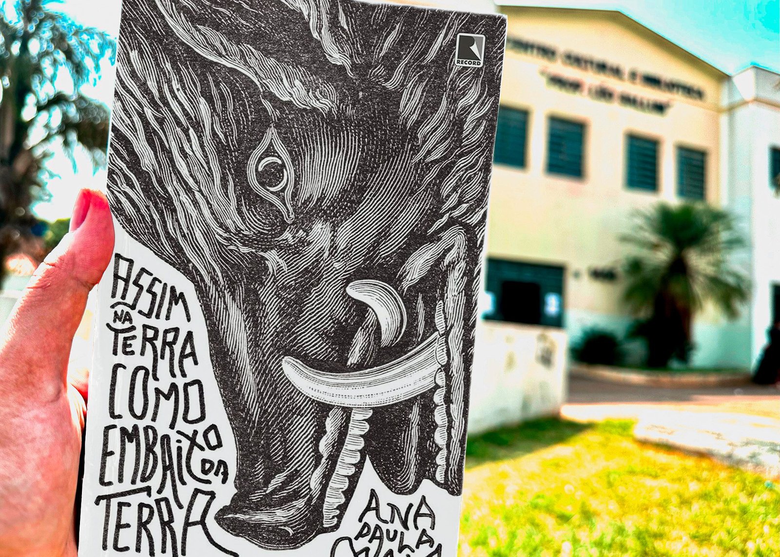 clube do leo imprensa1