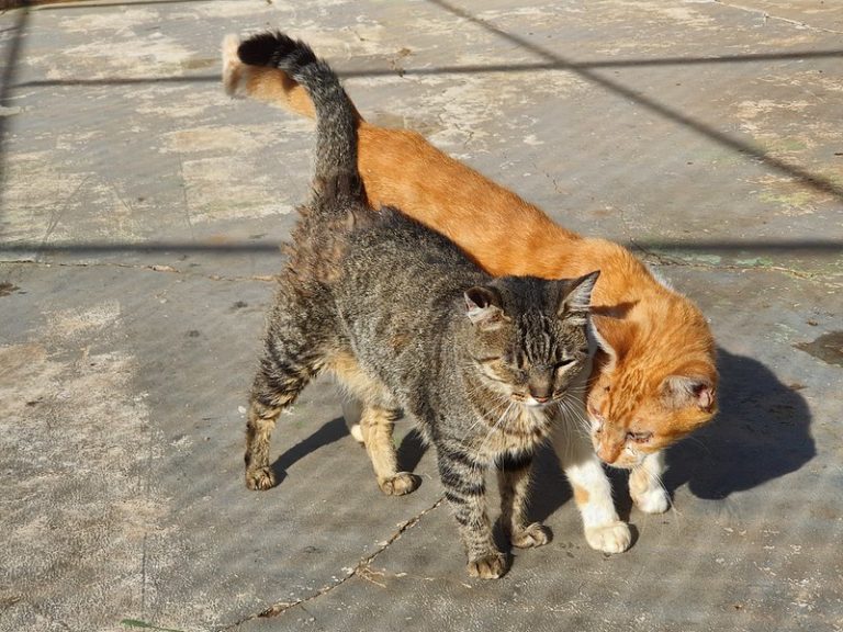 53601093977_7913e5ce78_c