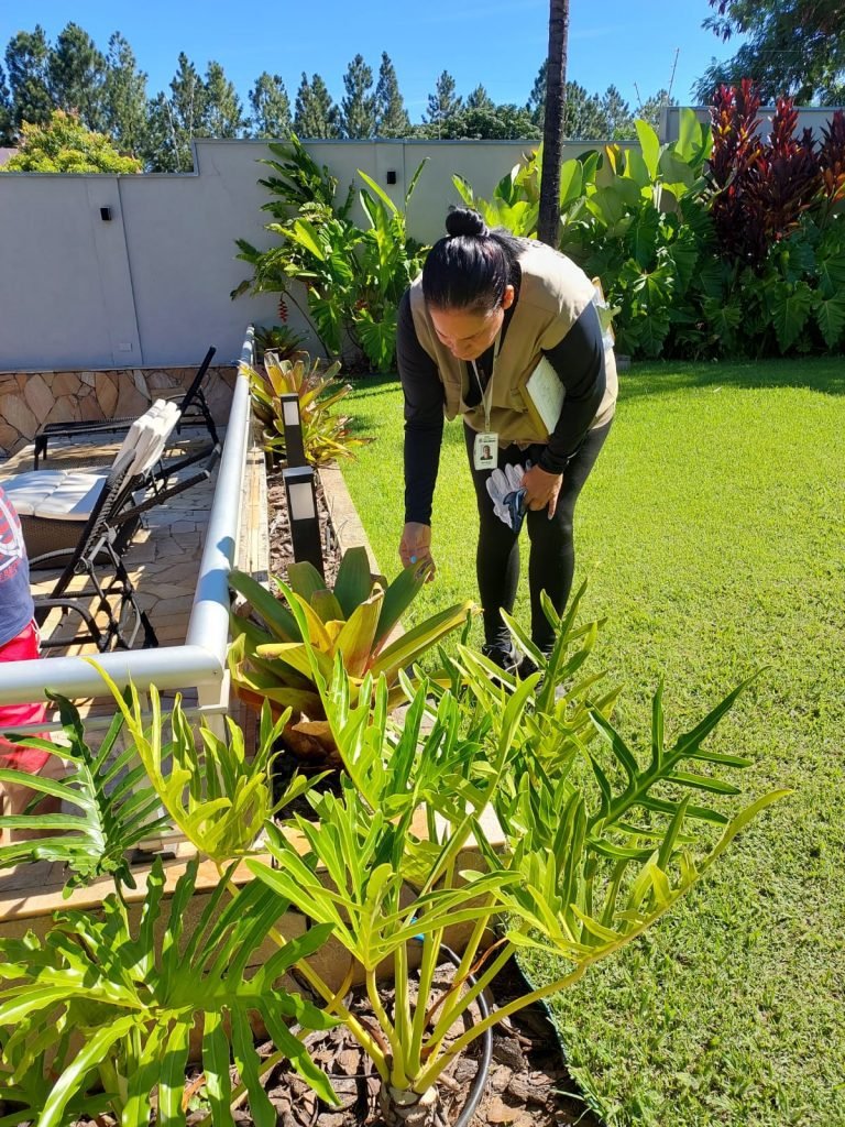 Ações Antidengue Aedes x Zoonoses + Epidemiológica PMNO - Arrastão sábado no Green Village 2024-03-02 (9)