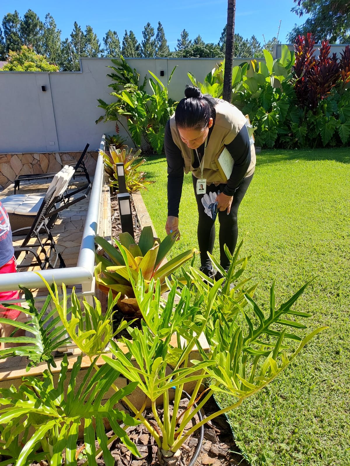 Prefeitura de Nova Odessa acirra ‘guerra’ contra o mosquito transmissor do vírus da dengue 1 Ações Antidengue Aedes x Zoonoses + Epidemiológica PMNO - Arrastão sábado no Green Village 2024-03-02 (9)