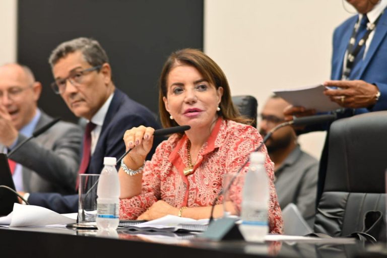 04-04-24-A deputada piracicabana Professora Bebel se posiciona contrária durante debate sobre a PEC do governador Tarcísio de Freitas que quer cortar recursos da educação
