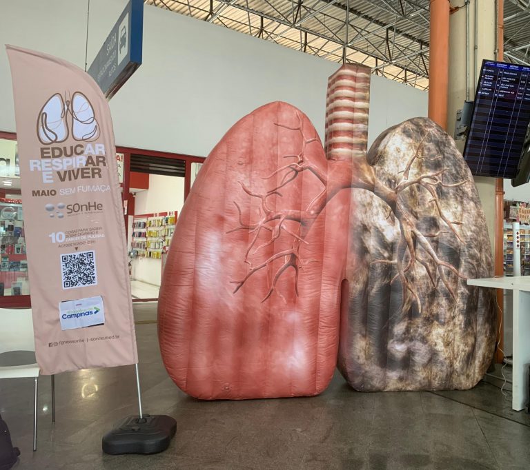 pulmão