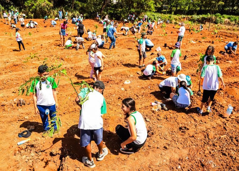 rafael dia da arvore 01 imprensa