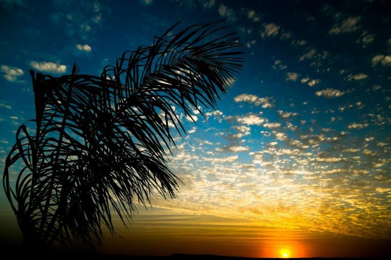 679-13-SB-sb24horas.com.br