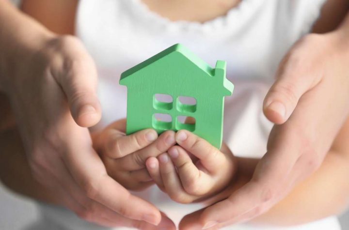 Como funciona o processo de adoção