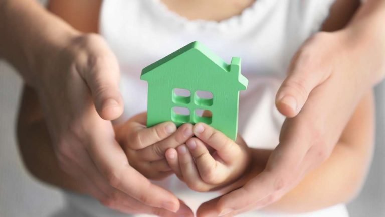 Como funciona o processo de adoção