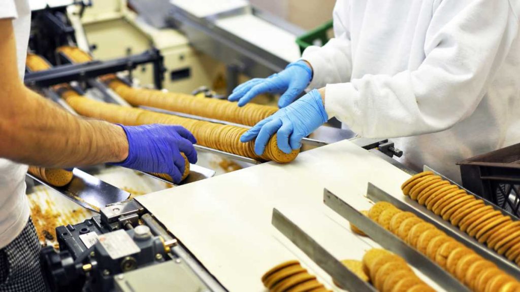 Guia completo: o que é necessário para abrir uma fábrica de alimentos