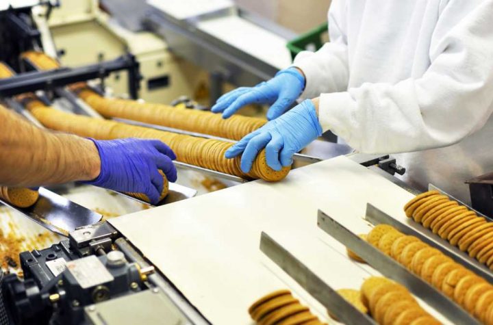 Guia completo: o que é necessário para abrir uma fábrica de alimentos