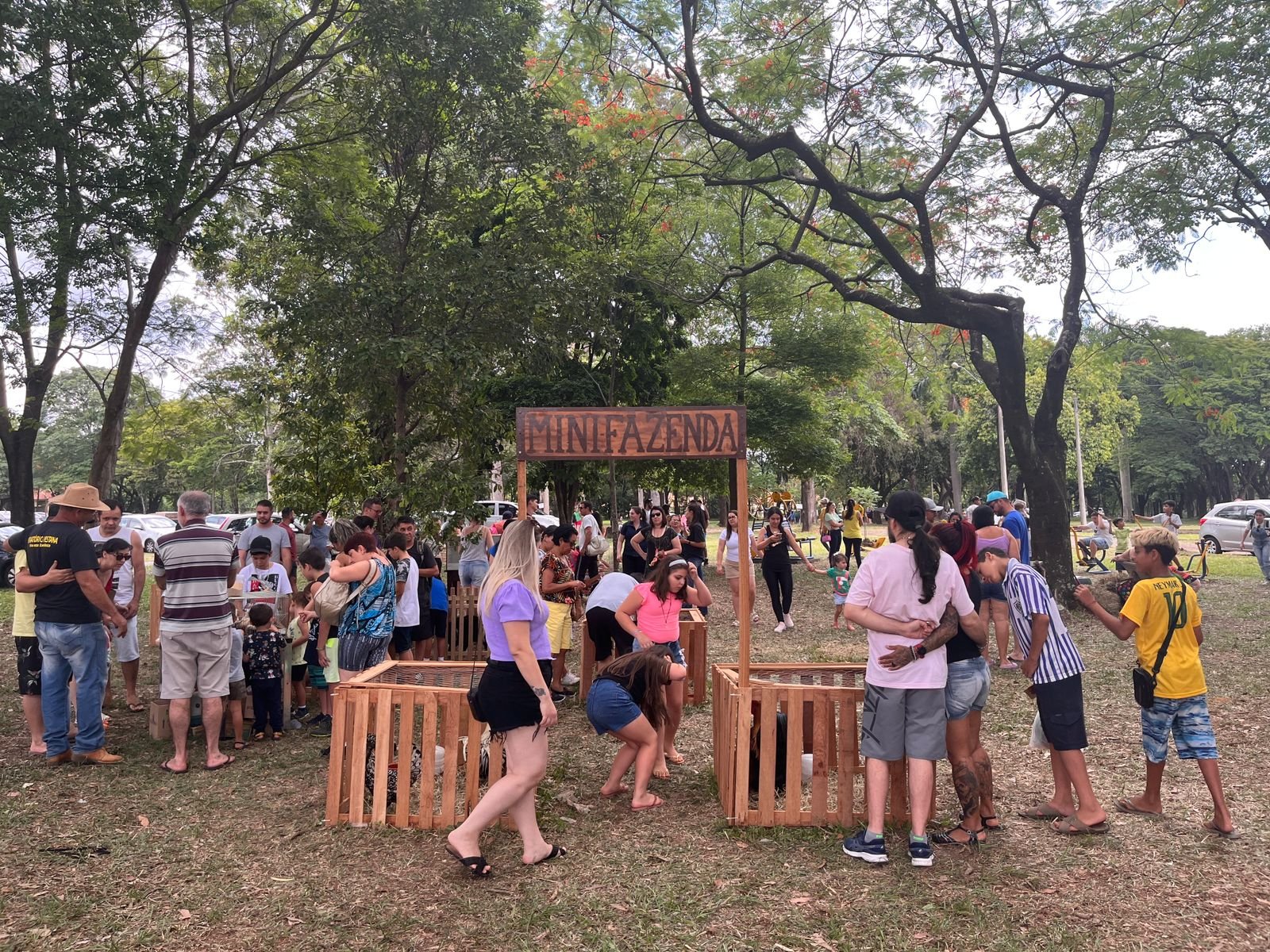 IZ de Portas Abertas em Nova Odessa 2022-11-19 (7)