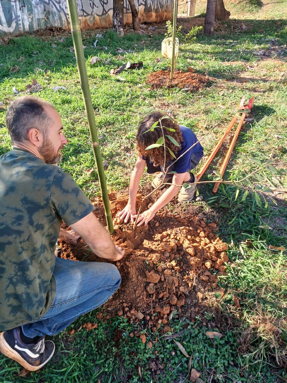 Meio Ambiente plantio mudas árvores Pista de Skate e playground Paço 2024-06-23 (19)