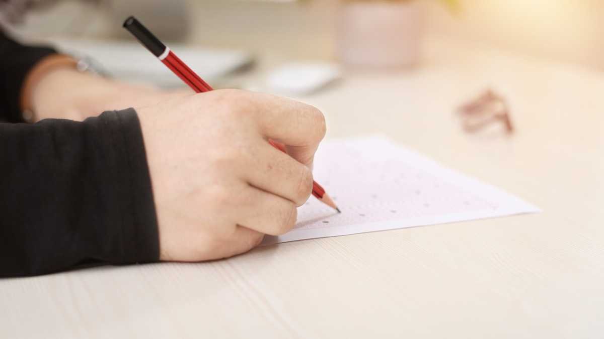 Teste vocacional: entenda o que é e porque fazer