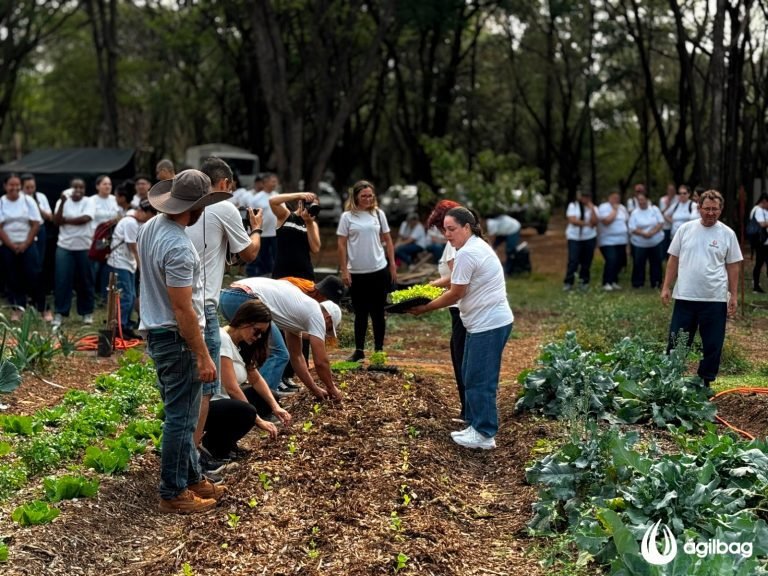 Meio Ambiente PMNO x plantio mudas Agilverde 04-10-2024 ld (8)