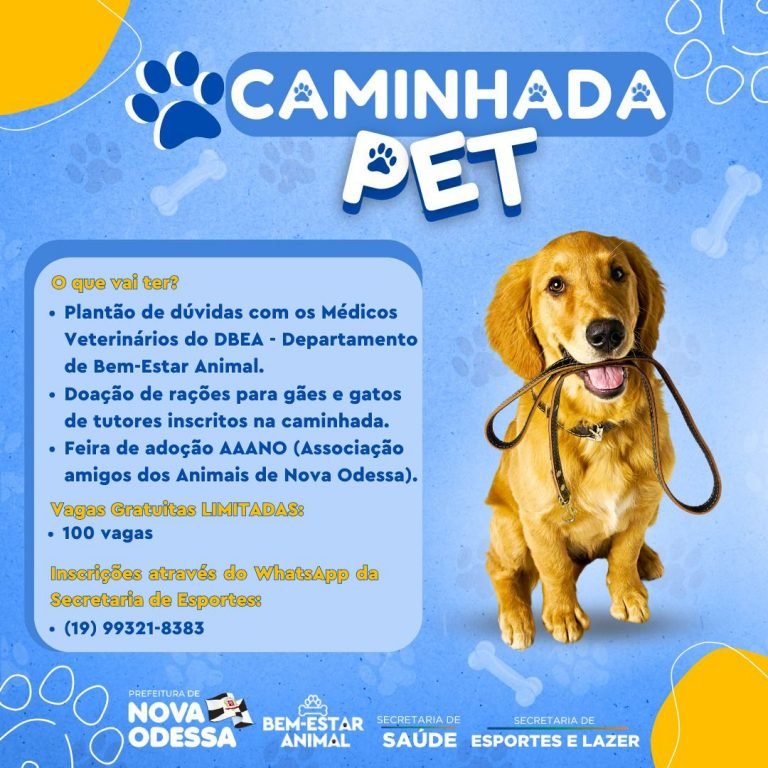 eCard Caminhada Pet Esportes PMNO outubro 2024 2