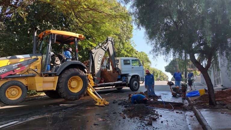 53775483936_716f9a02d1_o-min