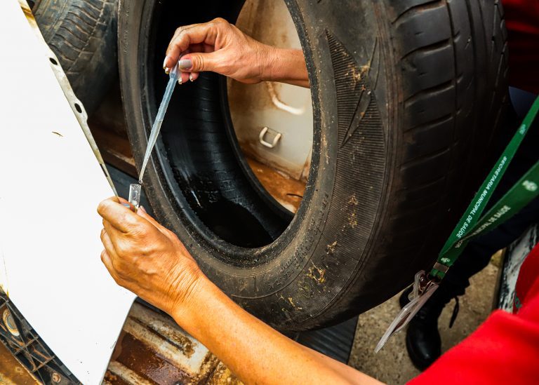 Ação Dengue Ferro-Velhos 02 - imprensa