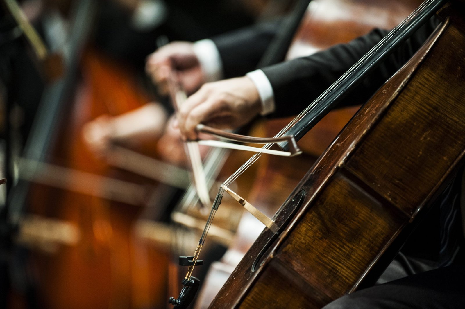 Virtual e gratuita: 2ª Edição da Semana da Música de Piracicaba será realizada de 02 a 06 de dezembro 1 As masterclasses serão virtuais e gratuitas