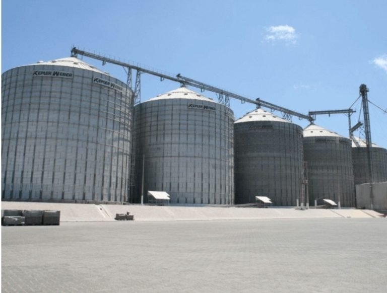 Screenshot_20241117_133856_Photos