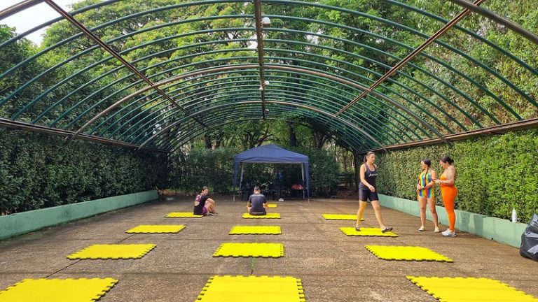 54095129075_e1e80c3512_c