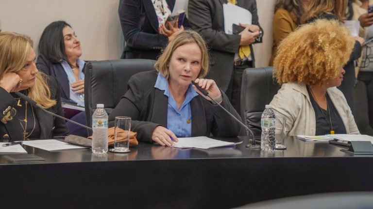 Ana_Perugini_CMulher_Alesp