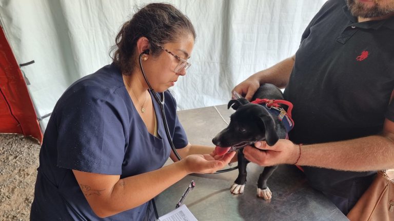 53321134849_e3890f7a49_4k (002)