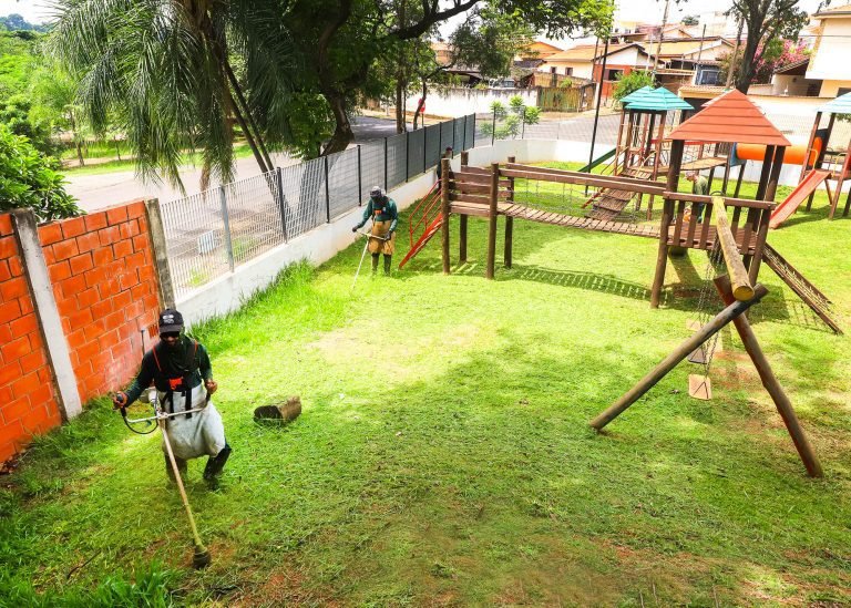 Roçagem ADI Geraldo 02 - imprensa