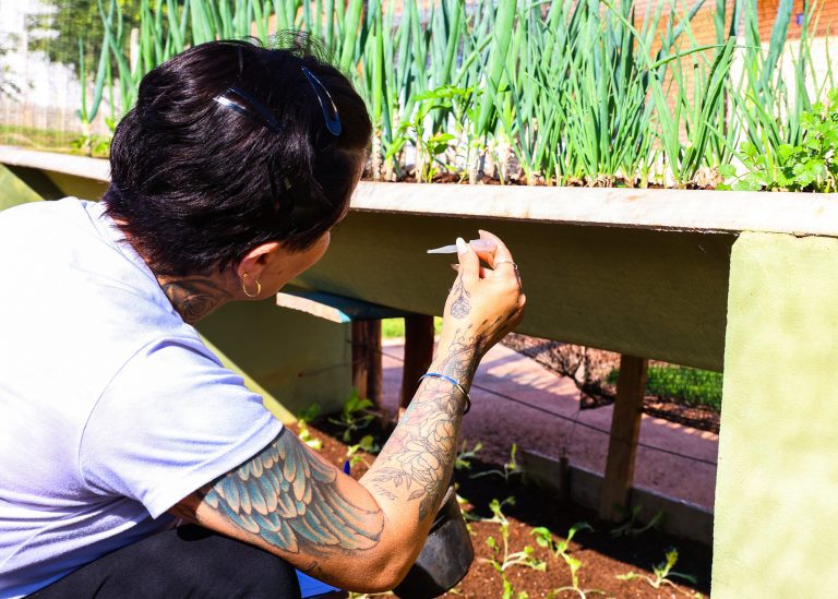 Vida Longa Ação Dengue 05 - imprensa