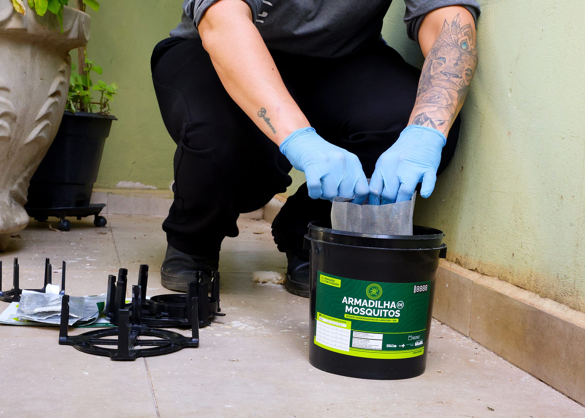 armadilha dengue 01 imprensa